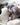Modern minimalist dog toys. Neutral tone pet toys. 