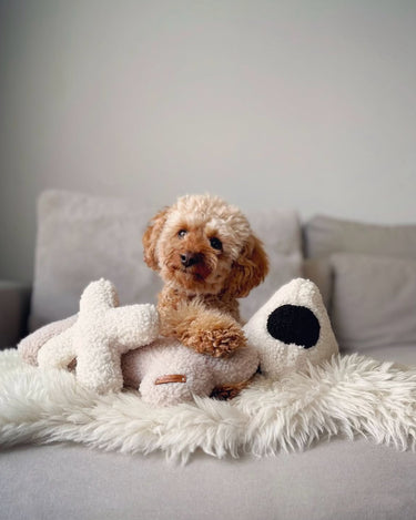 Modern minimalist dog toys. Neutral tone pet toys. 
