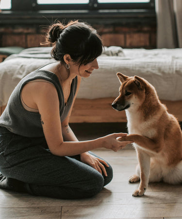 Modern Minimalist Dog Toys. Neutral colored dog toys by Pruff.