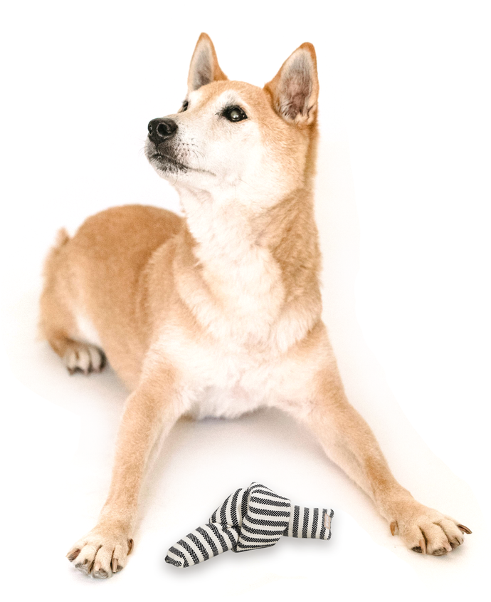 Modern Minimalist Dog Toys. Neutral colored dog toys.